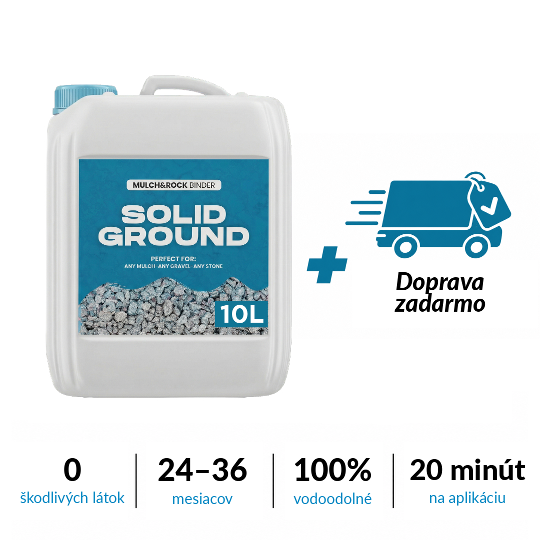 SOLID GROUND 10L